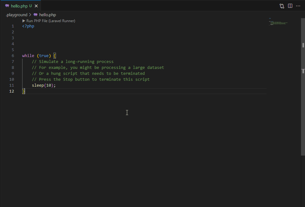 Screenshot showing live search & highlighted matches inside Laravel Runner output panel